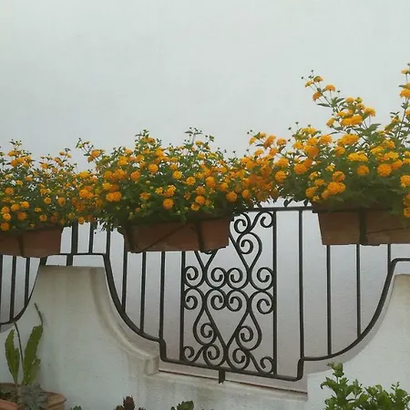 Casa Valentino *